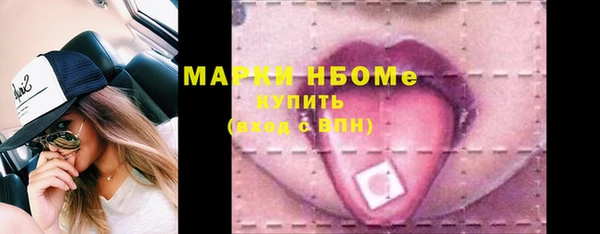 шишки Горняк